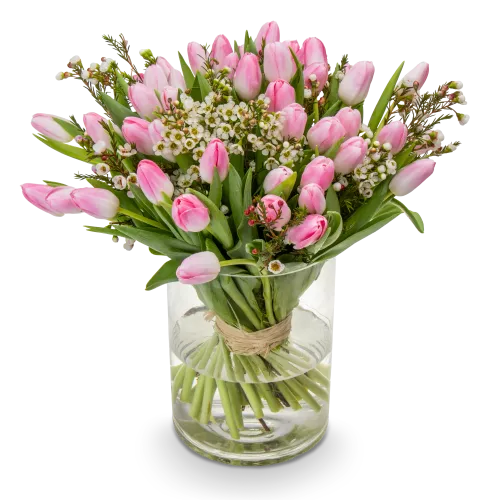 Kytice růžových tulipánů